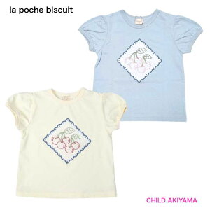 ySALE 50%OFFzla poche biscuit|VFrXLC'25ESڃptX[uTVcLP25ES008 []