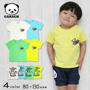 GARACH(Mb`)Xj[J[p_TVcy[֑z ĕ ĕ q gbvX ʉ ʊw  w LbY j̎q ̎q  킢 q q FL