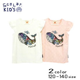 【夏物新作】ScoLar(スカラー)くじらプリント半袖Tシャツ【メール便送料無料】 子供服 女の子 夏 t