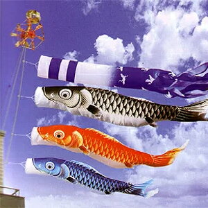 2.0m@@z[Zbg@̂ڂykCEꌧz@̂ڂ@x_p