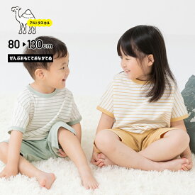 アルトタスカル ぜんぶおもてでおなかでぬ パジャマ 部屋着 ルームウェア 上下セット 腹巻付き 子供 キッズ ベビー服 ボーダー 男の子 女の子 80 90 100 110 120 130cm