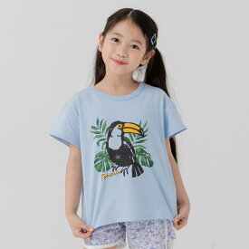 ゆうパケ送料無料 【在庫処分セール】 キッズ 半袖 Tシャツ 男の子 女の子 子供服 ベビー服 プリント 天竺 トップス キャラクター イラスト chil2 チルツー 夏服 80 90 100 110 120 130 140cm [M便 1/2]