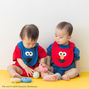 ZT~Xg[g X^C 2Zbg 悾ꂩ ru qp xr[ j̎q ̎q V 100 G NbL[X^[ SesameStreet chil2 oYj Mtg [M 1/3]