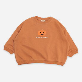 ハロウィン トレーナー スウェット 子供服 キッズ ベビー服 長袖 男の子 女の子 裏毛 トップス イラスト 刺繍 ジャック・オー・ランタン おばけ ゴースト 黒猫 秋 80 90 100 110 120 130cm [M便 1/1]