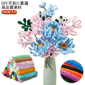 [ Jt 200{ H샂[ qmߋ |[ ߋ J[[ NX}Xc[ DIY蕨 ԃJ[ q i[ | f wZ |p  |