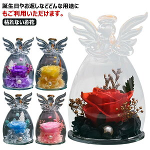 vU[uht[ Mtg Vg ԑ o v[g ͂Ȃ {gt[ av[g LO j   e   ސEj җj ̓  