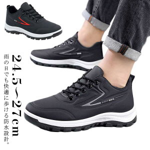 h  Xj[J[ w J hV[Y JWAV[Y i ₷ jp fB[X ʋ 䕗  Jp 24.5`27cm Z EH[LOV[Y Y ʊw j̎q