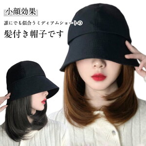 EBbO uE ֗ ѕtXq EBbOtXq ubN fB[X EBbO  ̌^  XqtEBbO ×pEBbO V[g R tXq   