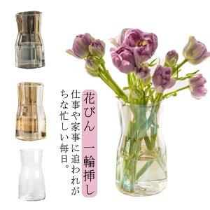 �t�����[�x�[�X �ԕr �K���X �Ԃт� ��֑}�� ���킢�� ���� ���� �h���C�t�����[ �傫�� �t�����[�x�[�X �}�� ��^ �ԕr �K���X�r �K���X�ԕr �C���e���A ���r���O �Q�� ���� ���� ���� �H