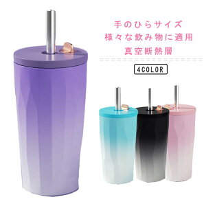 600ml e ^u[ Xg[t^u[ ۉ ^u[  ^fM ۗ   IȂ }O{g Xg[t^u[ ʋ Wt