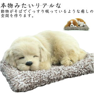 L EL Ɨp  {݂̓ u im ԗp p_ gC ԗpL L im imTCY imL   C tHAfqh  