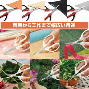 Ntg`L͂ nT~  P[X t pr [  H |  | K[fjO  Lb` DIY Ntg zr[ ₷ ł 悭 ؂ { AX  z