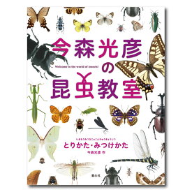 【ポイント2倍】今森光彦の昆虫教室（全2巻）絵本 セット 本 昆虫 虫とり チョウ クワガタムシ カブトムシ バッタ カマキリ トンボ 写真絵本 図鑑絵本 男の子 子供 こども 小学生 小学1年生 小学2年生 小学 低学年 向け 図書 国内絵本 今森光彦 日本の絵本 児童書 書籍