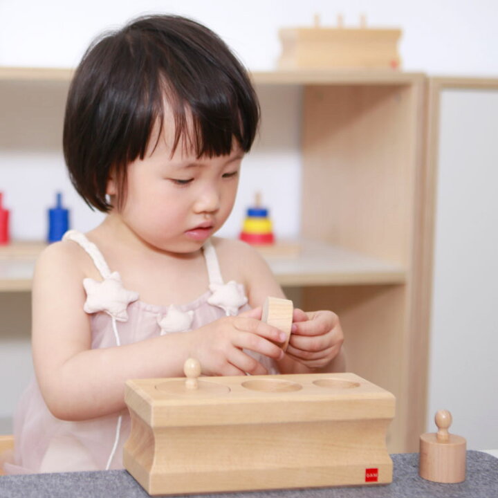 楽天市場】【ポイント5倍】モンテッソーリ教育（AMI認定）GAM 乳幼児用 