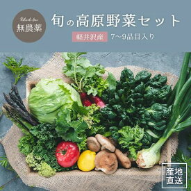 【 7～9品目入り 】軽井沢産 無農薬 朝採り 高原野菜 詰め合わせ セット 長野県 軽井沢 レタス 雪かぶ 春菊 からし菜 ブロッコリー カーリーケール ルッコラ ズッキーニ ハーブ 長野 信州 無農薬野菜 美味しい おいしい 朝 野菜 やさい 産地直送 産直 朝採れ set 送料無料