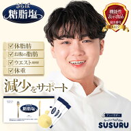 難消化性デキストリン 粉末 スティック さらば糖脂塩（トウシエン） 1箱 個包装 30包入 水溶性食物繊維 …