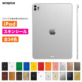 iPad Air スキンシール iPad Pro 11インチ 13インチ スキンシール iPad mini フィルム ケース カバー 背面 保護 M4 M3 M2 A17 A16 第10世代 第6世代 メタル シルバー ゴールド 銀 金 wraplus 公式