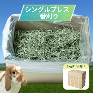 チモシー 3kg 5kg 10kg 15kg たっぷりチモシー シングルプレス 1番刈り 大容量 牧草 うさぎ モルモット …