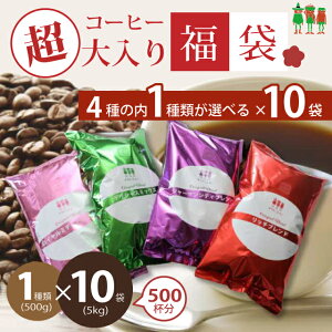 yyVC[OXӍՃZ[ N[|ΏہzR[q[ R[q[ 5kg R[q[X̒蕟܁I4ނ̓1Iׂ 500g×10܁yzy500tz y`gR[q[z R[