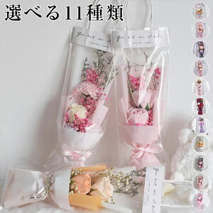 hCt[ ԑ ~j@KN@sN  X^[`X J[l[V ԍ  ͂Ȃ CeA 蕨 Be Əj@@@Ӂ@Mtg