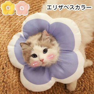 yz\tgGUxXJ[ L  ^ GUxXJ[ ybgObY  p p ybgpi \tg y _炩 rߖh~ ~h~ \