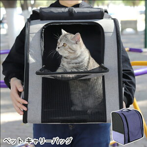 yz ybg L[obO bN  L ܂肽 ybgL[ M L LL[ L[ ʋCQ s U y d ʉ@ RpNg h