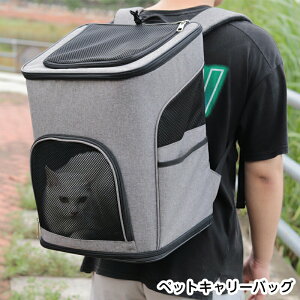 yz ybgL[ bN L  L[obO ybgobO bN L[bN ܂肽  킢 ʋCQ ^ѕ֗ ʉ@ U d s hC