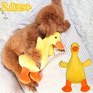  2_Zbg p  ʂ ނ Ђ o ނ  f^PA Sٓ  ^s ybgpi XgX mߋ 