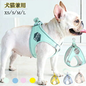 yzybg ybgObY Lpi  n[lX Ȃ }JJ[ U h~ SȂ o ȒP  킢 ߉\ h~ P