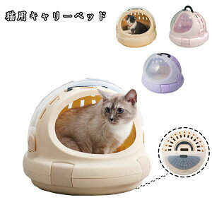 yzybgp ybgL[ L  L[P[X L[obO  nEXL[ GAgxL[ ybg o L[P[X hCu N[g L[ s 