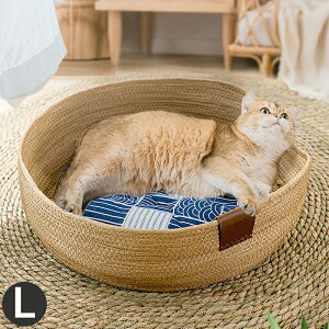 ybg xbh  L ėp ⊴ Ђ xbh 􂦂 ~` ی^ LTCY NbVt