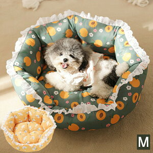 yzybg xbh NbV vg [X  L xbh nEX  ӂӂ   ȒP ~ς ʋC ~ ې􂦂 ʔN \t@[ Q ybgpi MT