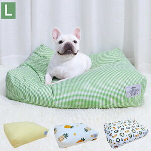 yzybg xbh  NbV  L xbh ӂӂ \t@  ӂӂ Q 􂦂 ^ L p ybgpi I[V[Y ʔN