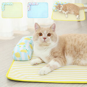 ybgxbh ~pbh  xbh L xbh \t@[ 􂦂 NbV I[V[Y t 薰 xe 킢 Q MǑ΍ LTCY