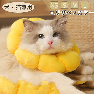 yzGUxXJ[ Lp p ybgpi rߖh~ p Ђ܂^ _炩  y ʋC ی h~ 􂦂 XS S M LTCY