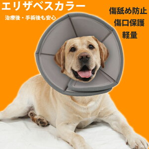 yzGUxXJ[ \tg  L ^ ^ 5TCY \tg^Cv pی  p y L p㕞 r r h~  畆 ×p e D p 