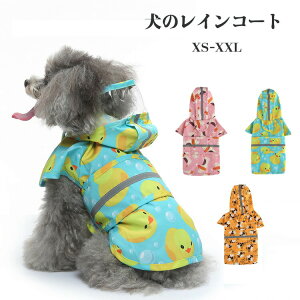 yzybgEybgObY hbOEGA  CR[g CEFA hbOEFA Jbp H J J p[J[ t[ht J̓ h U o| ~J΍Jbp 