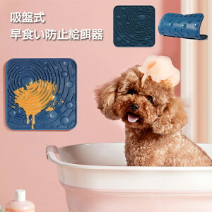 y[z Hh~ a zՎ ybgpi C Lr߃pbh ybgr߃gC X[t[h  hbOt[h zՎ gC ~߃}bg XgX