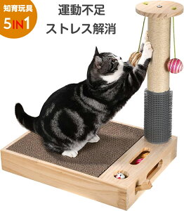 L ܂Ƃ |[ L܌ }`LL߂Ƃ XNb`|[ L ܂Ƃ (50cm)VRTCUR XgXLpi }bT[W[uV, C^NeBu{[A