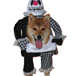 yzybg   RX`[  RXv hbNEGA  ϑ NX}X nEB ʔ 낢 EP v[g o ʐ^ Be ȒP ւ 