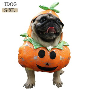 yzybg  L RX`[  RXv hbNEGA  ϑ NX}X nEB ʔ 낢 EP v[g o ʐ^ Be ȒP ւ