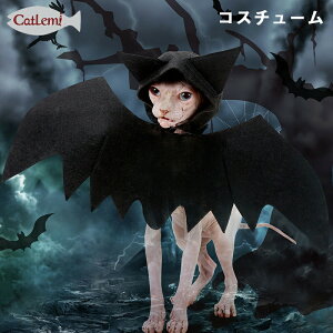  ybg  L RX`[ nEB RXv  ߑ RE RXv RX`[ obg  ϐg Lp ObY  ϐg zS opCA nEB ^