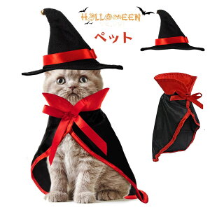 yzybg̕ nEB RXv 2_Zbg  nEB }g RX`[ Xq Lp}g  ϑ ߑ o ʐ^ Be ȒP ւ ϐgObY 