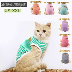 yz ̕ tėp ėp {[_[^Ngbv TVc m[X[u  Ȑ VvR іh~ ybgEFA hbOEFA   L p Lp o| 