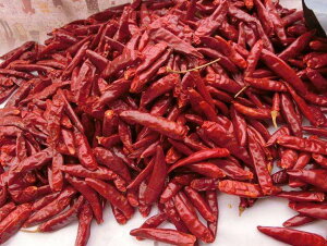 煞 1000g z[ hq 煞 Ԃ̒ V煞 ؕY @Ɩp V煞 ԂƂ炵 ؗHށEGXjbN  l엿 ׂɂăC[Wςꍇ