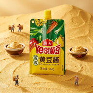 新商品 海天 黄豆醤 　450g　ホァンドウジャン 蓋付き 中華料理　中華食材 調味料　東北大醤　特売中　中…