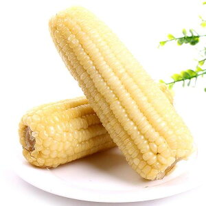 Iׂ 퉷ʕ ʕ Sʕ ʕ uʕ (1{) ʕ 䚕 Ƃ낱 ^pbNR[ Ƃ낱 gERV LV[R[