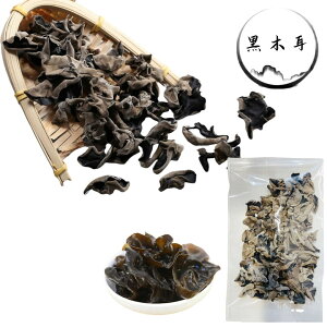 Z[ 50g ؎@炰@Y IHށ@Ni@炰@i ؎@LNQ
