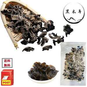  ؎@炰@Y IHށ@Ni@炰@i ؎@LNQ@50g/