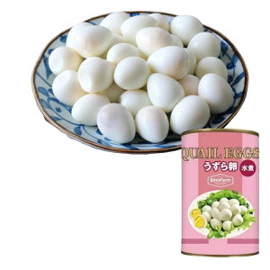 痑 痑 50`55@̗@ QUALL EGGS G̗ @ؕY @EY@ Ȃ܂ Ɩp